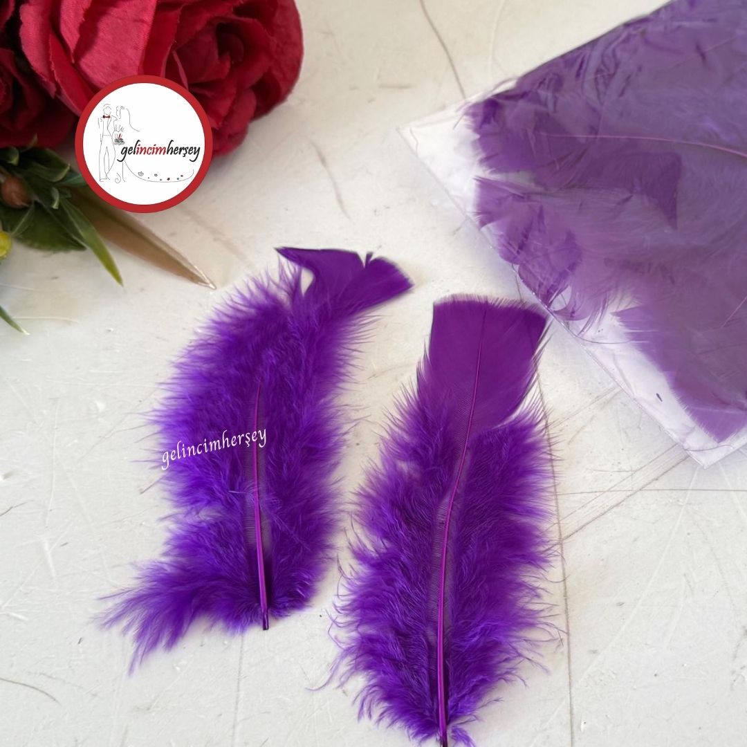 Gelincimherşey100lüKuşTüyüMor