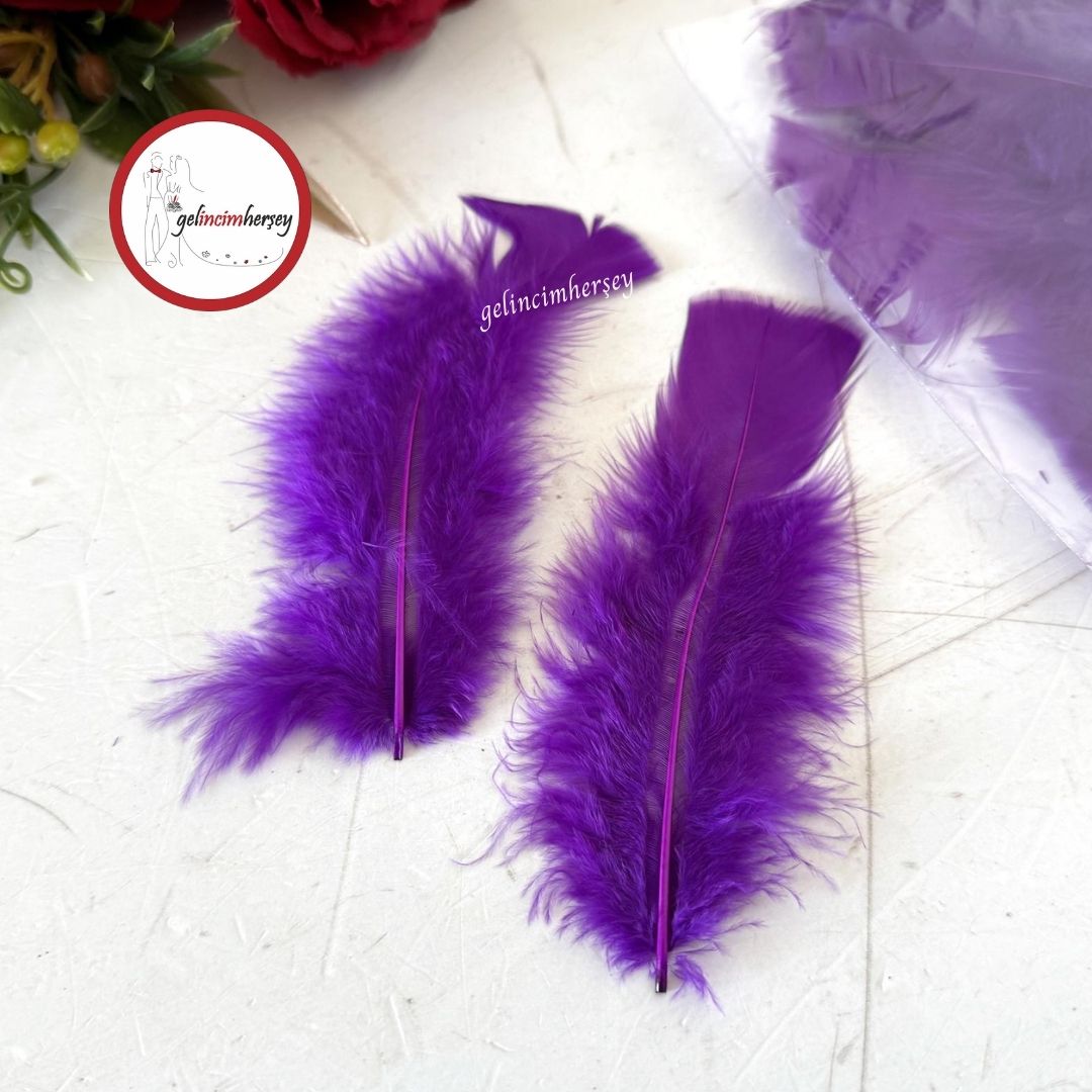 Gelincimherşey100lüKuşTüyüMor1