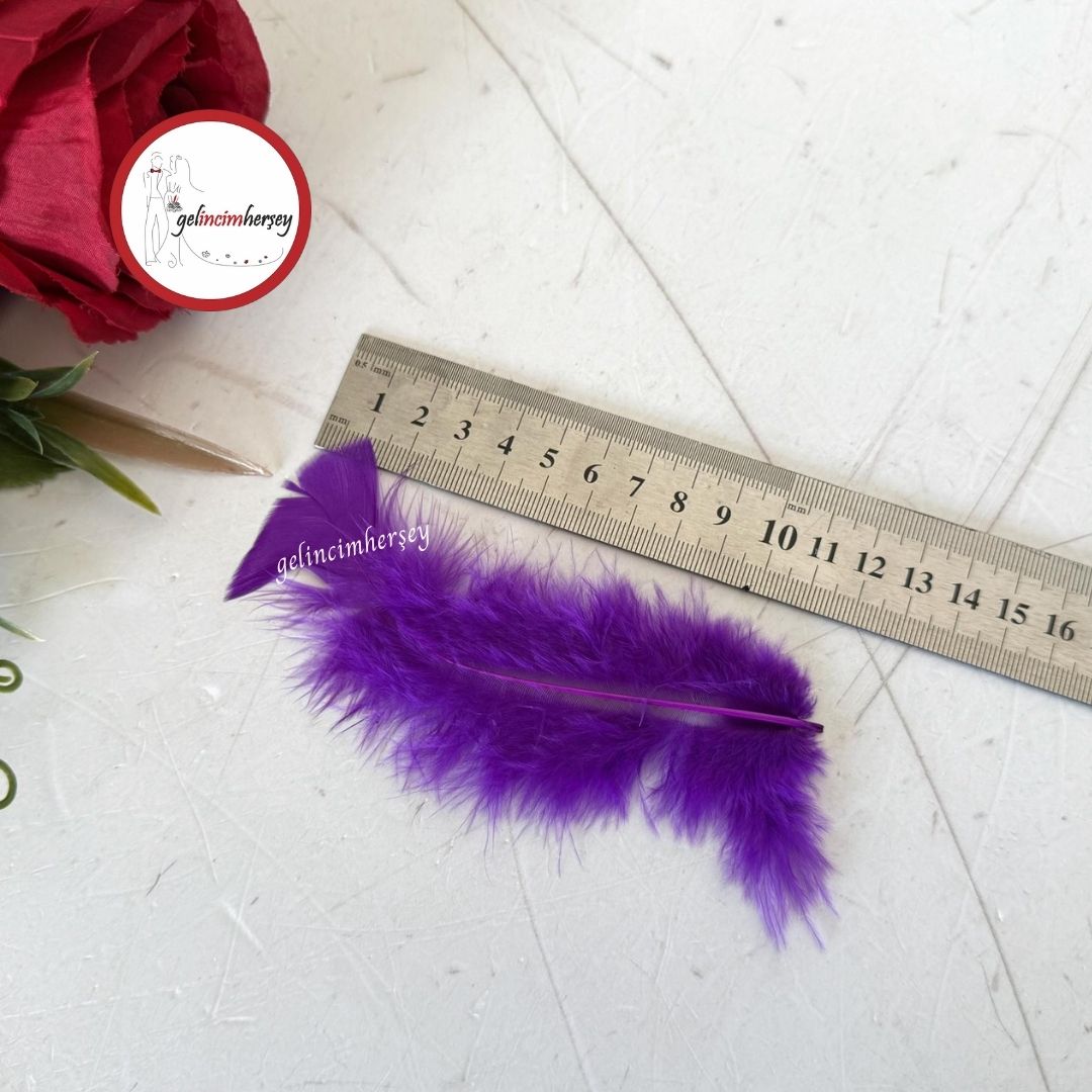 Gelincimherşey100lüKuşTüyüMor2