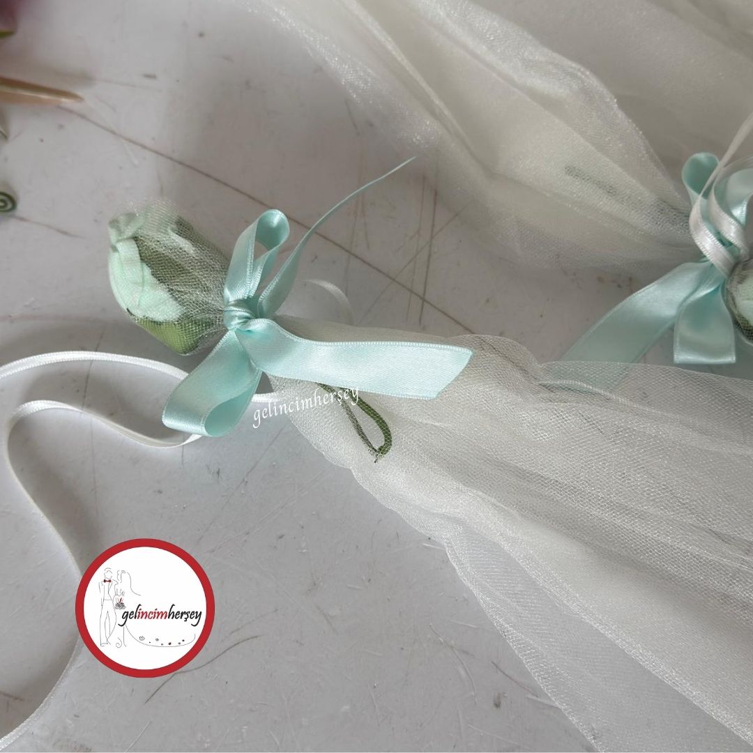 GelincimherşeyKonvoySüsüSuYeşili1