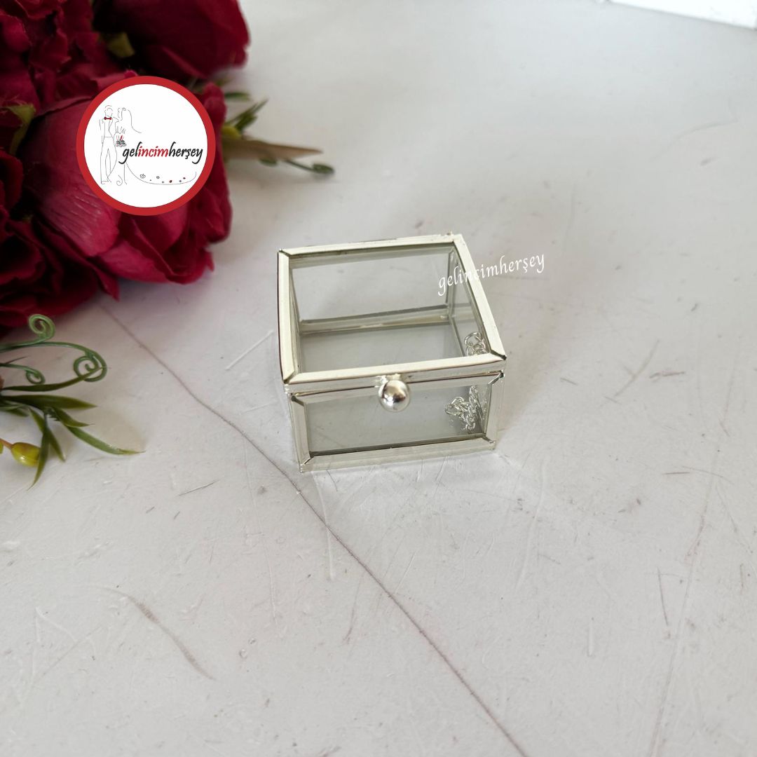 GelincimherşeyKareKapaklıAksesuarYüzükvs.CamDekoratifKutuGümüş