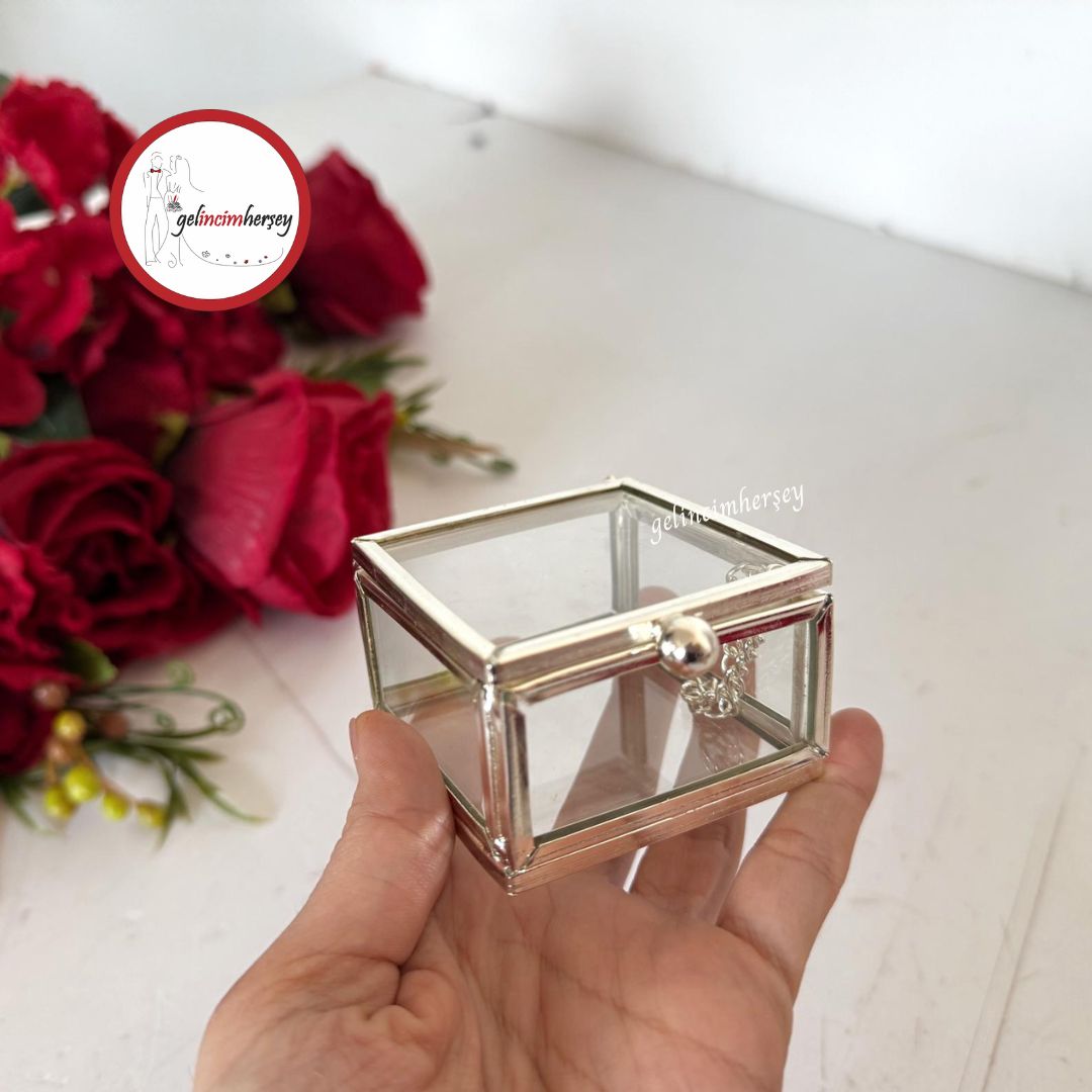 GelincimherşeyKareKapaklıAksesuarYüzükvs.CamDekoratifKutuGümüş1