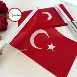 Gelincimherşey 10'lu Sopalı Ay Yıldız Türk Bayrağı