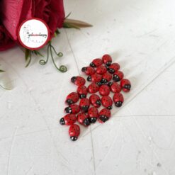 Gelincimherşey 25'li Yapışkanlı Ahşap Uğur Böceği