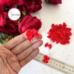 Gelincimherşey Saten Minik Fiyonk Kurdele 25 Adet - KIRMIZI