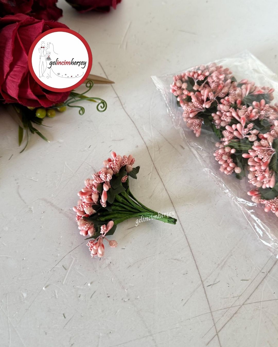 Gelincimherşey60'lıPıtırcıkSomon