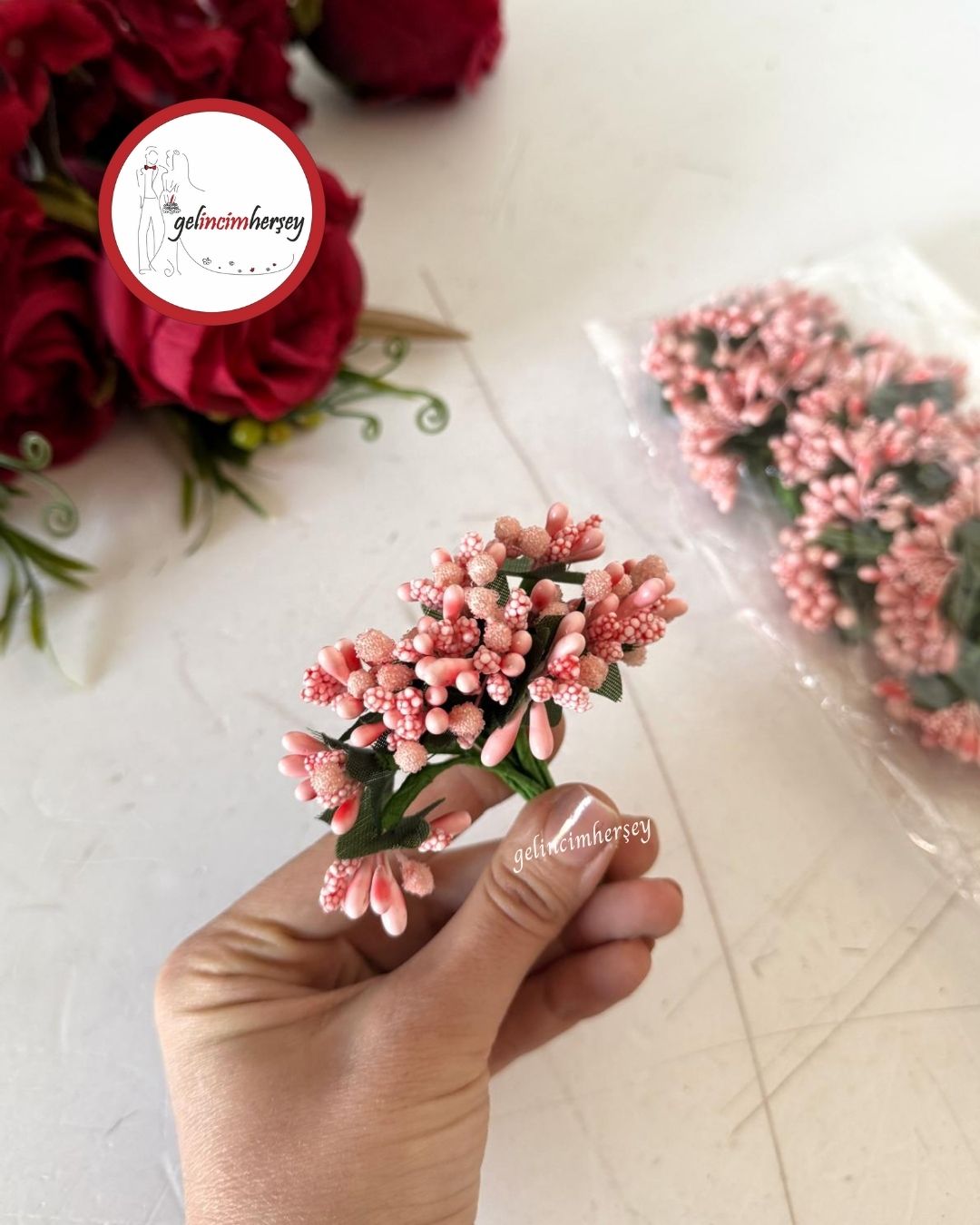 Gelincimherşey60'lıPıtırcıkSomon1